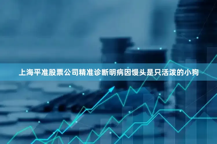 上海平准股票公司精准诊断明病因馒头是只活泼的小狗