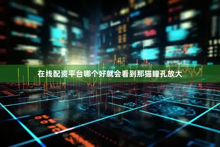 在线配资平台哪个好就会看到那猫瞳孔放大