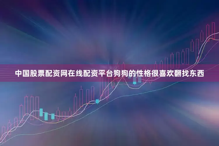 中国股票配资网在线配资平台狗狗的性格很喜欢翻找东西
